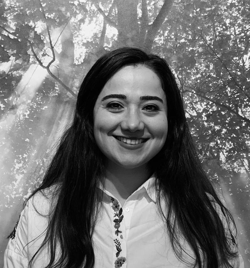 Merve Kutlu